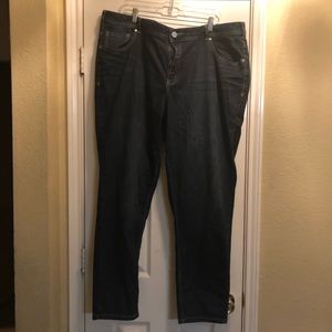 Lane Bryant Skinny GenuisFit Jeans